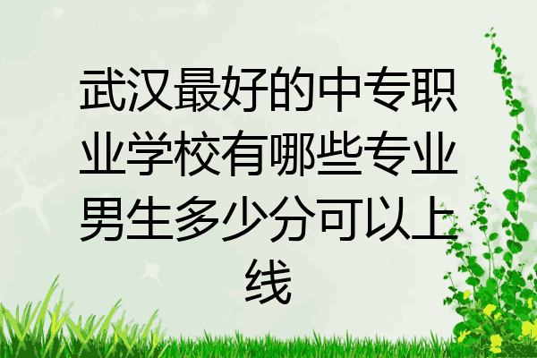 武汉最好的中专职业学校有哪些专业男生多少分可以上线