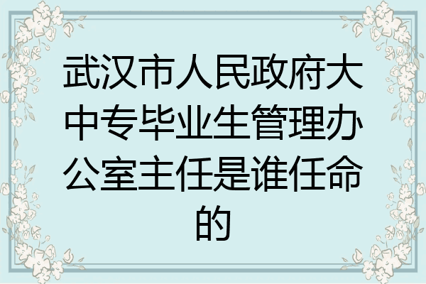 武汉市人民政府大中专毕业生管理办公室主任是谁任命的