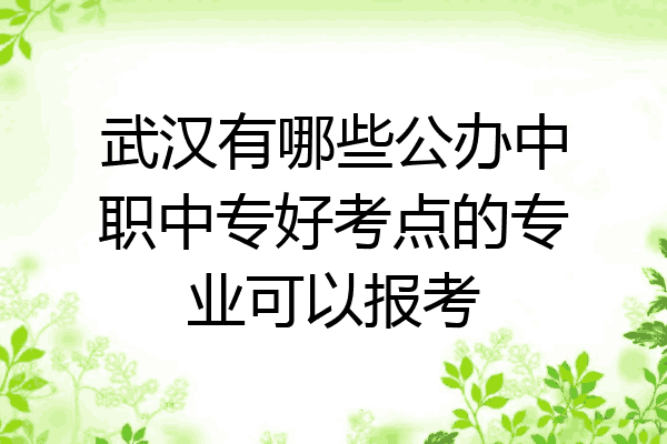 武汉有哪些公办中职中专好考点的专业可以报考