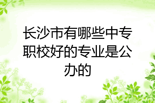 长沙市有哪些中专职校好的专业是公办的