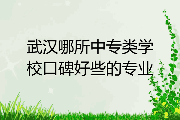 武汉哪所中专类学校口碑好些的专业