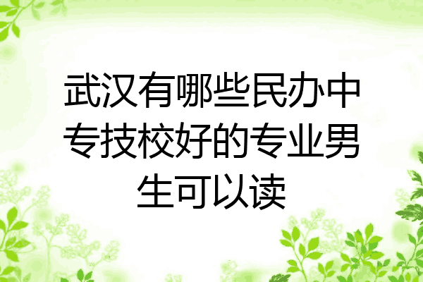 武汉有哪些民办中专技校好的专业男生可以读