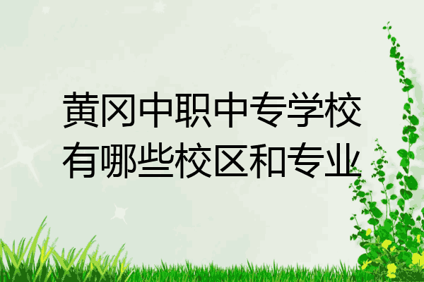 黄冈中职中专学校有哪些校区和专业
