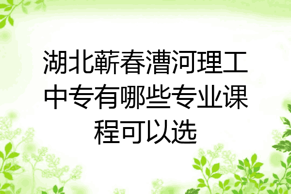 湖北蕲春漕河理工中专有哪些专业课程可以选