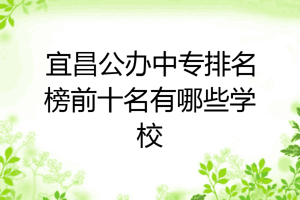 宜昌公办中专排名榜前十名有哪些学校