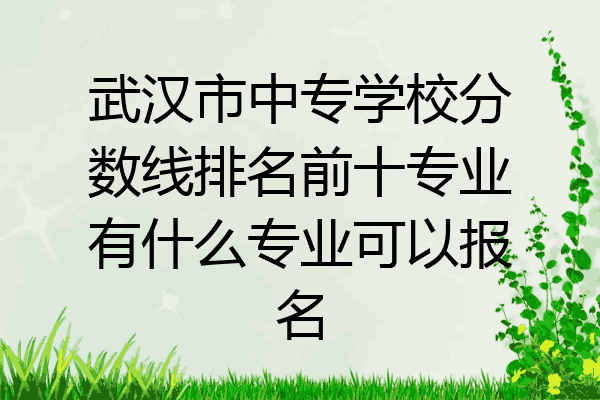 武汉市中专学校分数线排名前十专业有什么专业可以报名