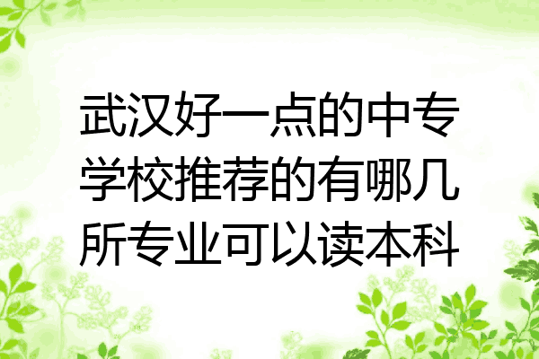 武汉好一点的中专学校推荐的有哪几所专业可以读本科