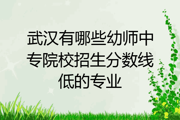 武汉有哪些幼师中专院校招生分数线低的专业