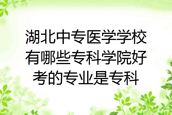 湖北中专医学学校有哪些专科学院好考的专业是专科