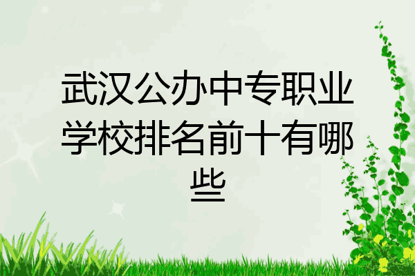 武汉公办中专职业学校排名前十有哪些