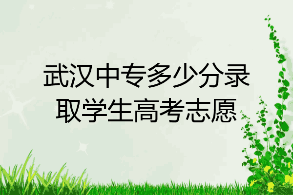 武汉中专多少分录取学生高考志愿