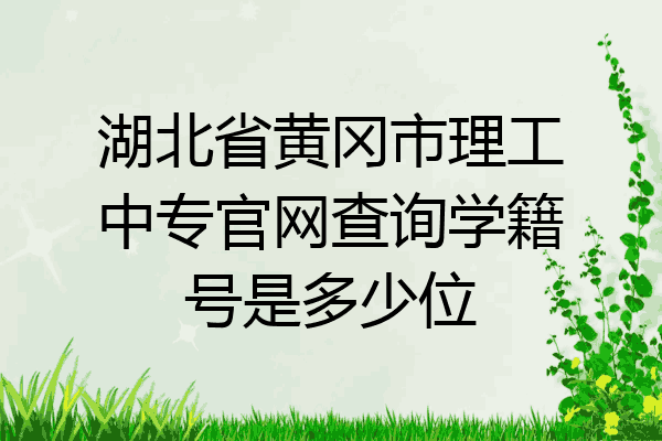 湖北省黄冈市理工中专官网查询学籍号是多少位