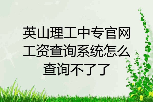 英山理工中专官网工资查询系统怎么查询不了了