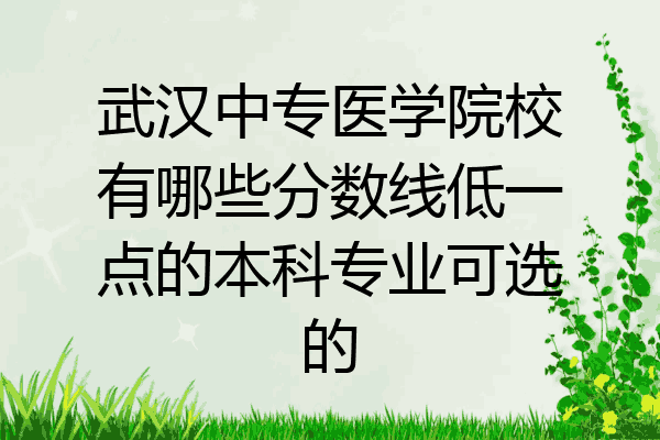 武汉中专医学院校有哪些分数线低一点的本科专业可选的