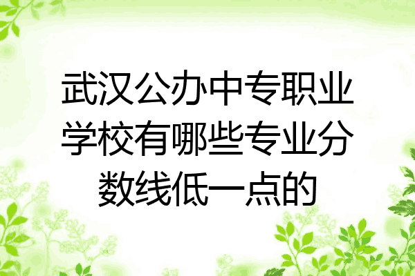 武汉公办中专职业学校有哪些专业分数线低一点的