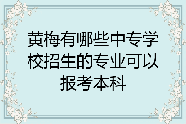 黄梅有哪些中专学校招生的专业可以报考本科