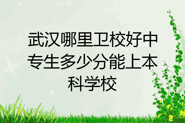 武汉哪里卫校好中专生多少分能上本科学校