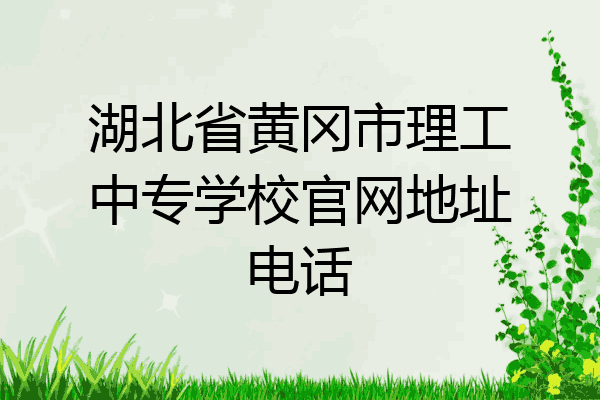 湖北省黄冈市理工中专学校官网地址电话