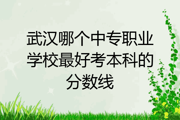 武汉哪个中专职业学校最好考本科的分数线
