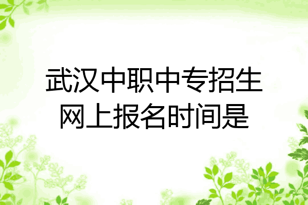 武汉中职中专招生网上报名时间是