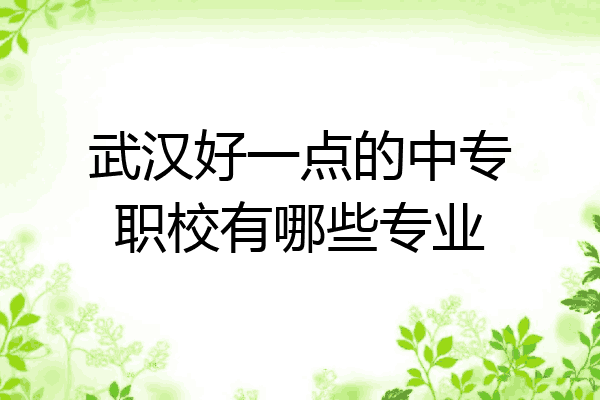 武汉好一点的中专职校有哪些专业