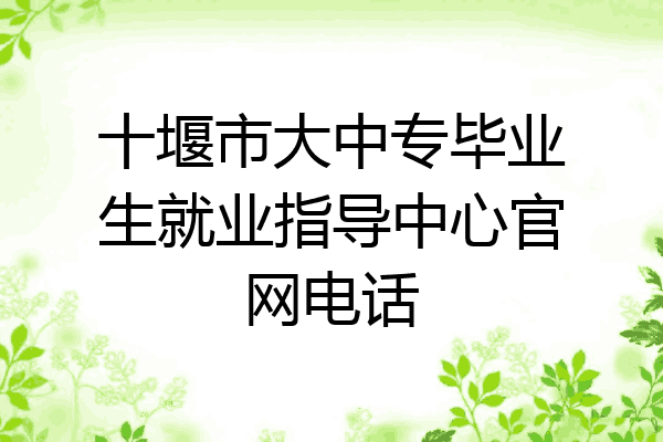 十堰市大中专毕业生就业指导中心官网电话