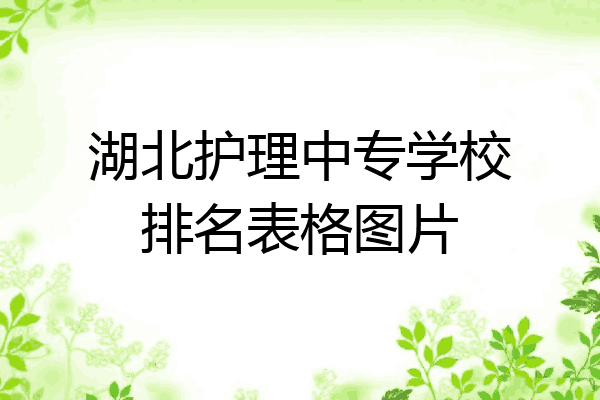 湖北护理中专学校排名表格图片
