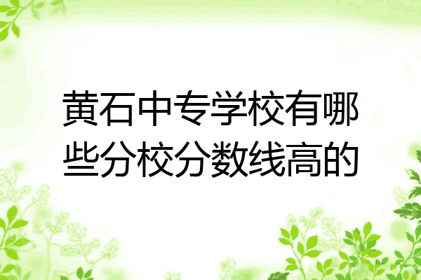 黄石中专学校有哪些分校分数线高的