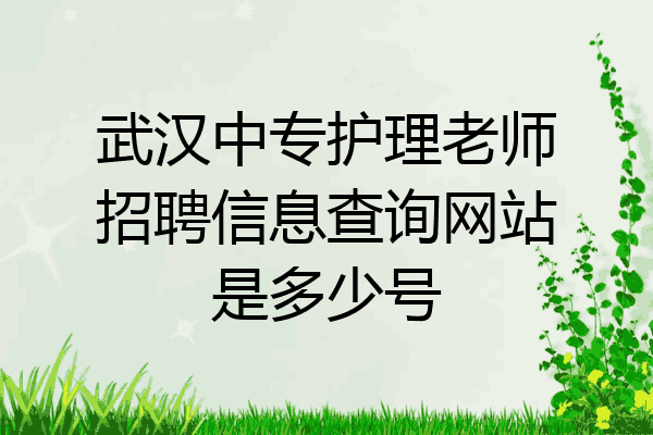 武汉中专护理老师招聘信息查询网站是多少号