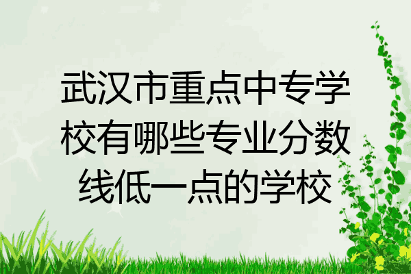 武汉市重点中专学校有哪些专业分数线低一点的学校