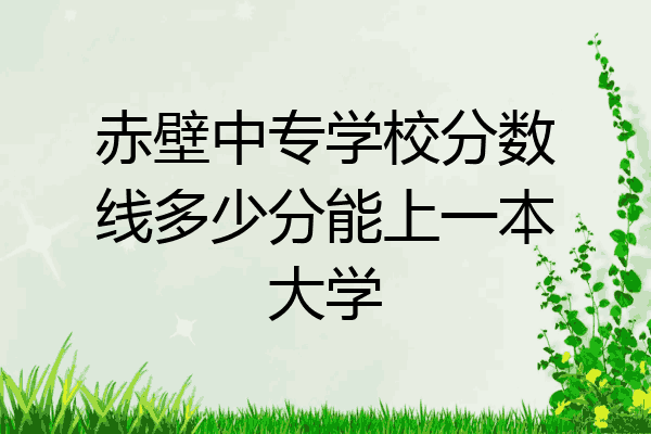 赤壁中专学校分数线多少分能上一本大学