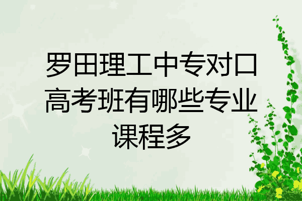 罗田理工中专对口高考班有哪些专业课程多
