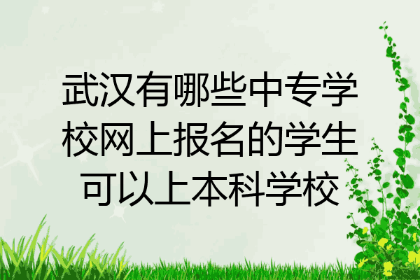 武汉有哪些中专学校网上报名的学生可以上本科学校
