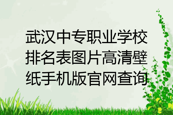 武汉中专职业学校排名表图片高清壁纸手机版官网查询