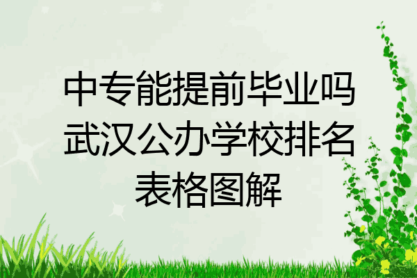 中专能提前毕业吗武汉公办学校排名表格图解