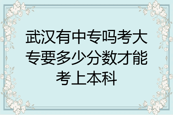 武汉有中专吗考大专要多少分数才能考上本科