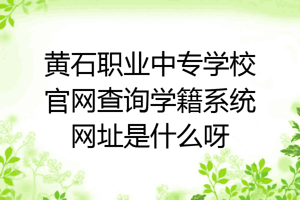 黄石职业中专学校官网查询学籍系统网址是什么呀