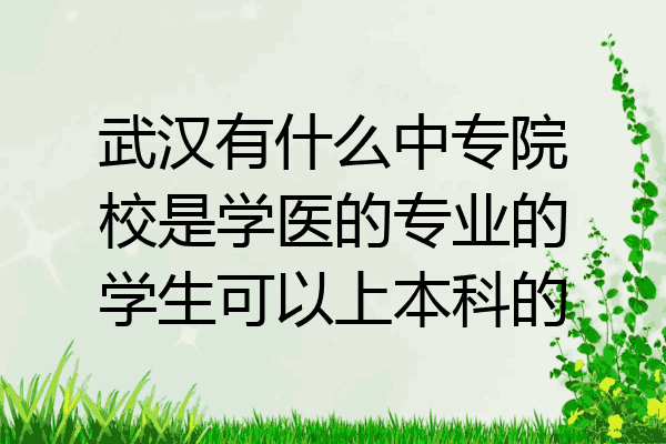 武汉有什么中专院校是学医的专业的学生可以上本科的