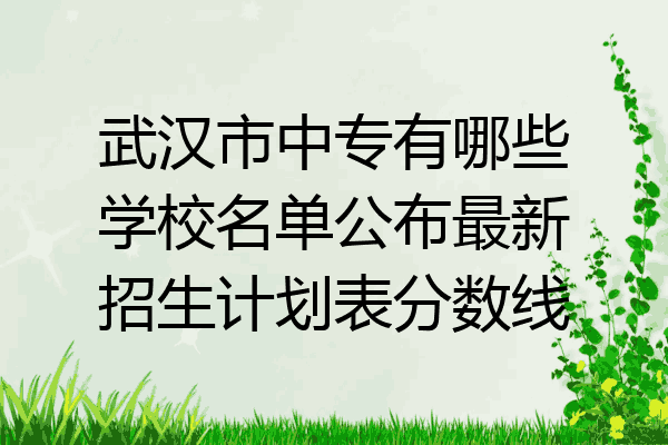 武汉市中专有哪些学校名单公布最新招生计划表分数线