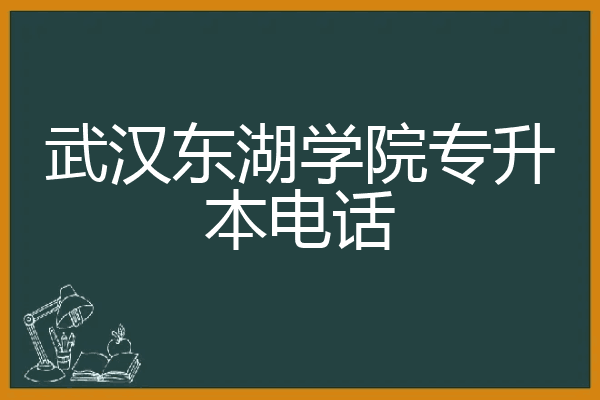 武汉东湖学院专升本电话
