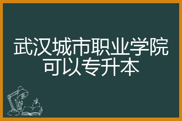 武汉城市职业学院可以专升本