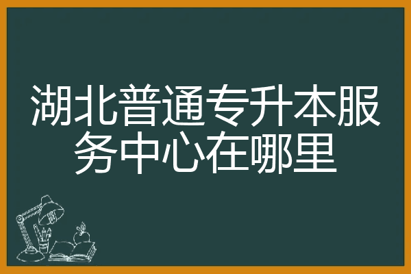 湖北普通专升本服务中心在哪里