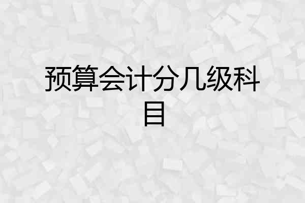 预算会计分几级科目