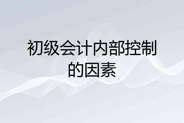 初级会计内部控制的因素