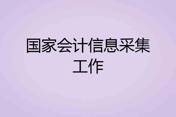 国家会计信息采集工作