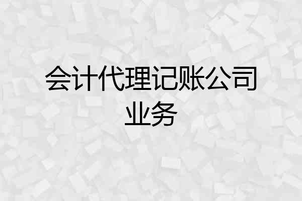 会计代理记账公司业务