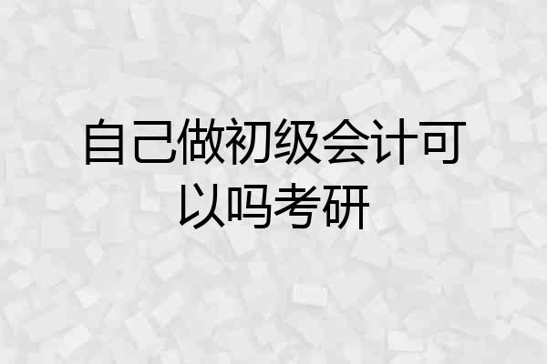 自己做初级会计可以吗考研