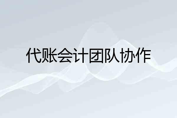 代账会计团队协作