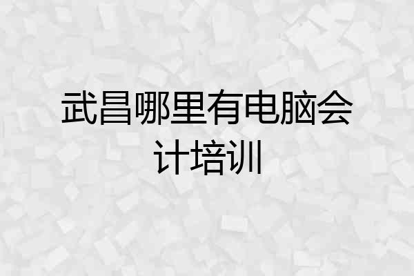 武昌哪里有电脑会计培训