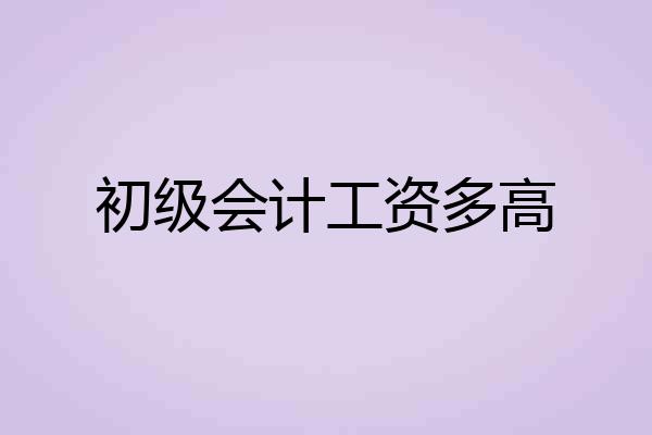初级会计工资多高